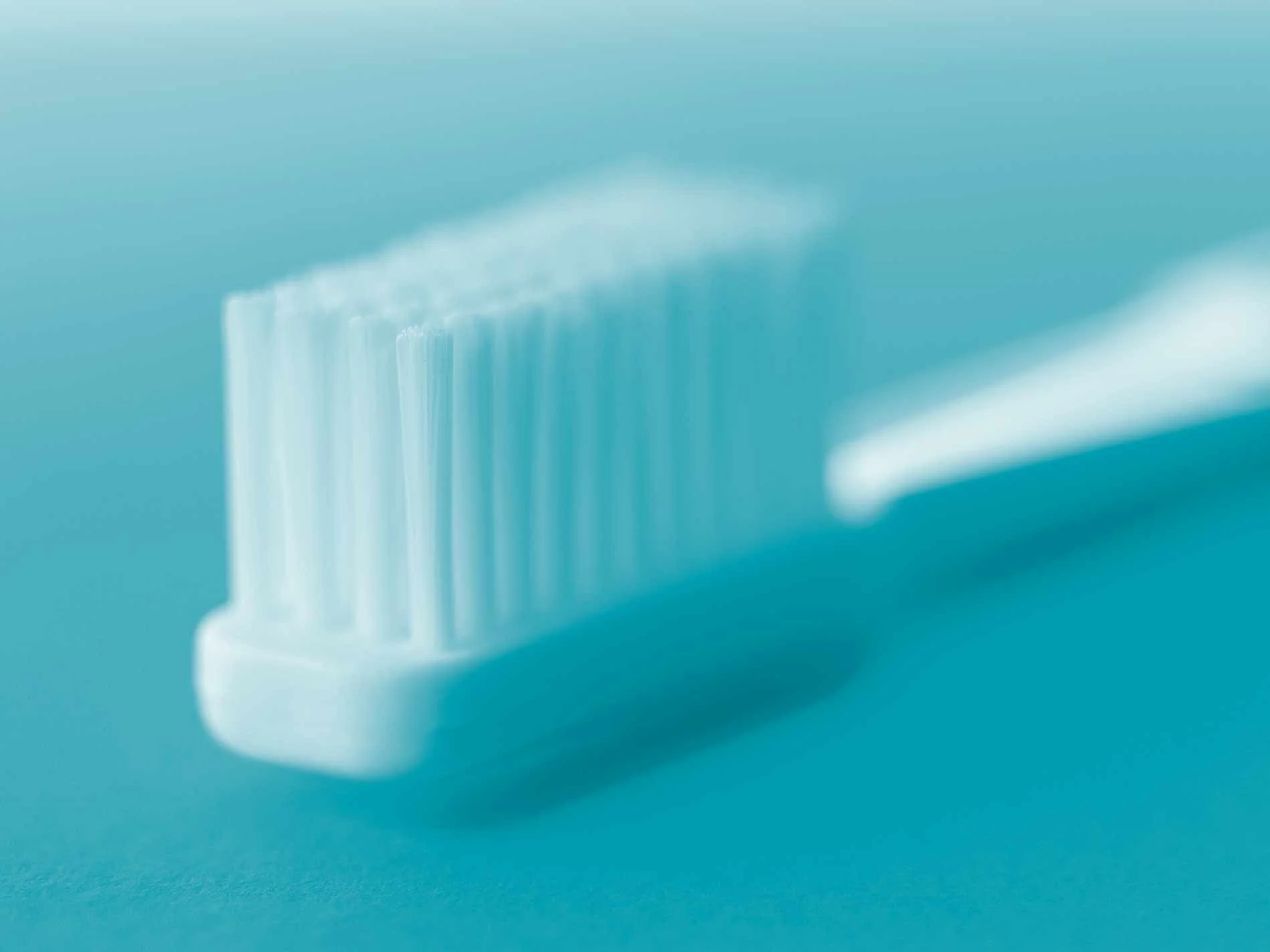 Dental Check Ups
