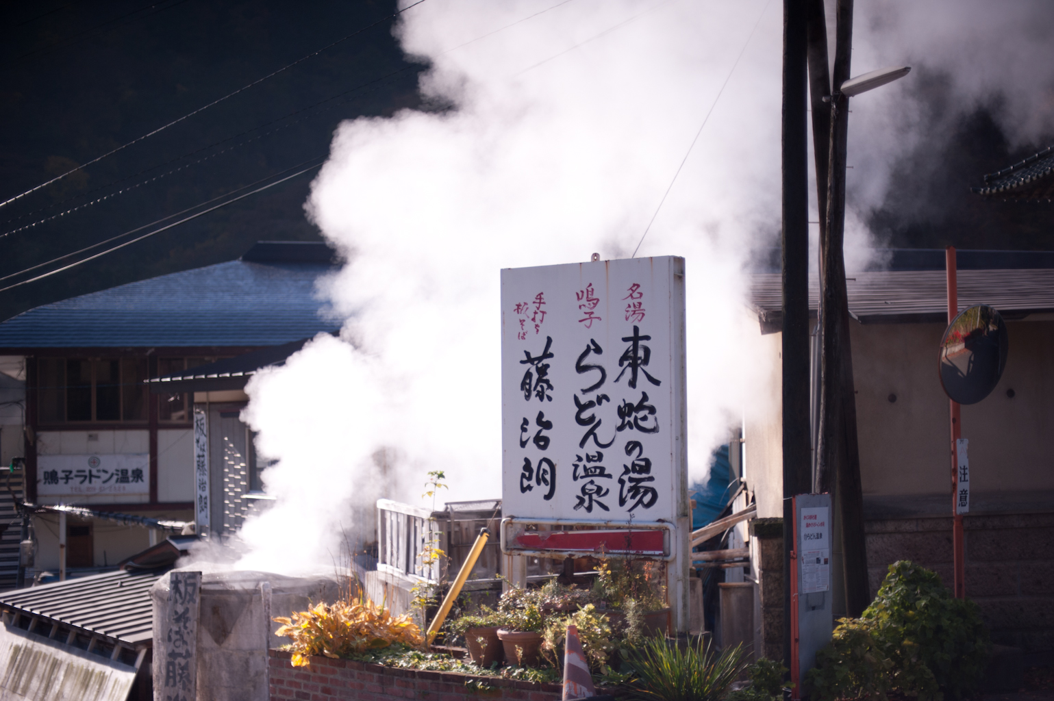 20141026_驥悟ｱｱ縺薙ｙ縺ｯ繧・satoyama_0206.JPG