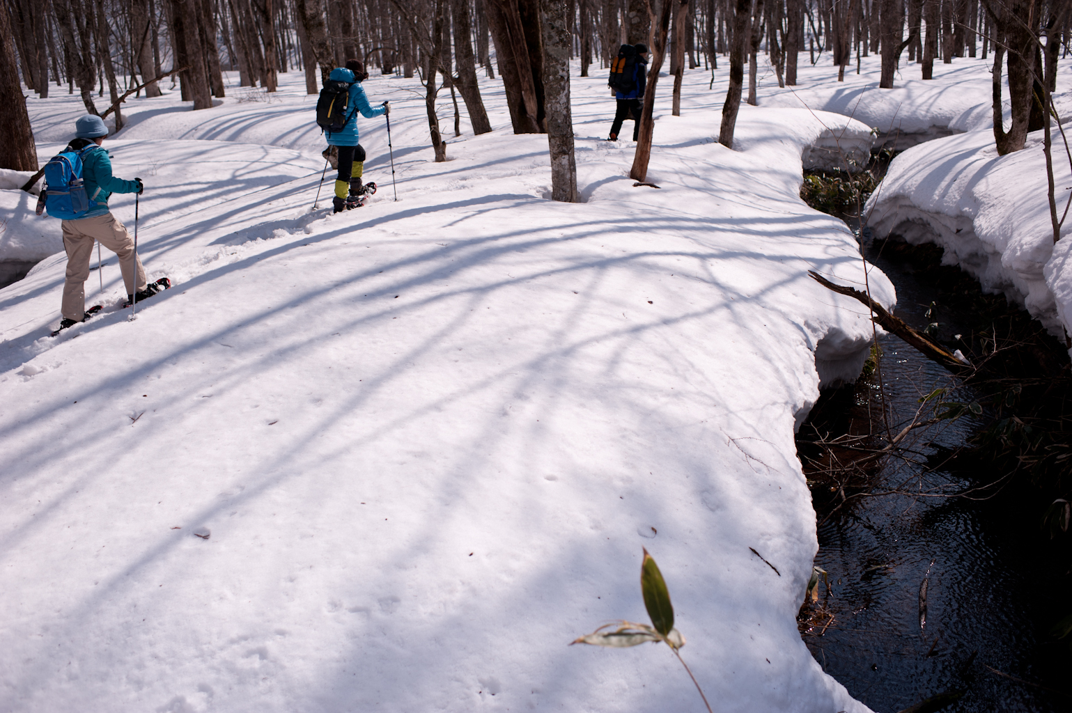 スノートレッキングでは動物になった気分を味わえますよ！