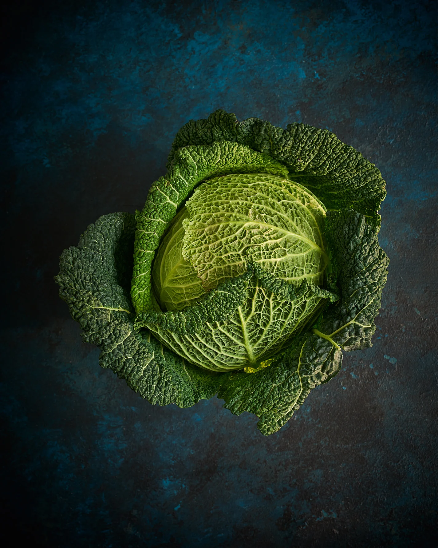 Savoy Cabbage