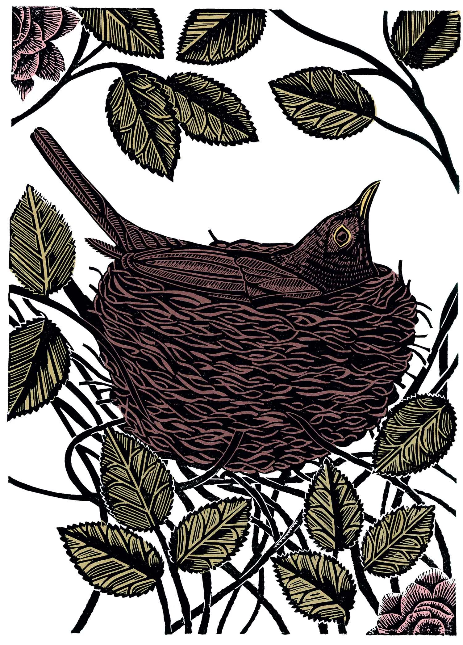 blackbird.jpg