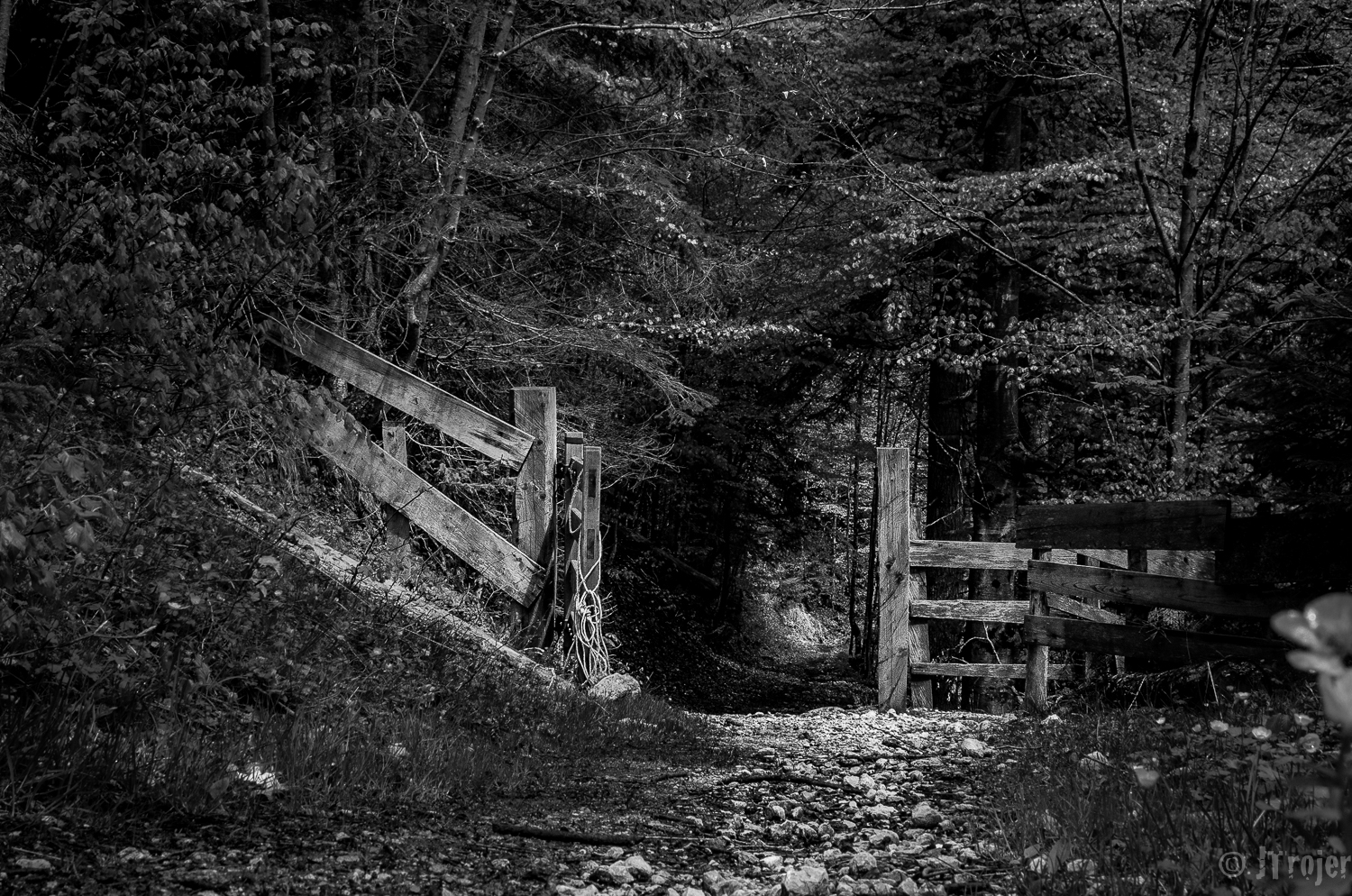 For more photos visit my flickr page.