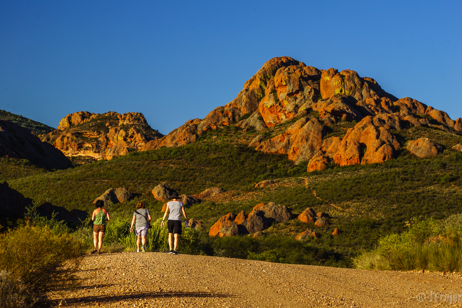 Karoo near Calitzdorp