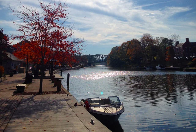 365 Project : Part 10, October!