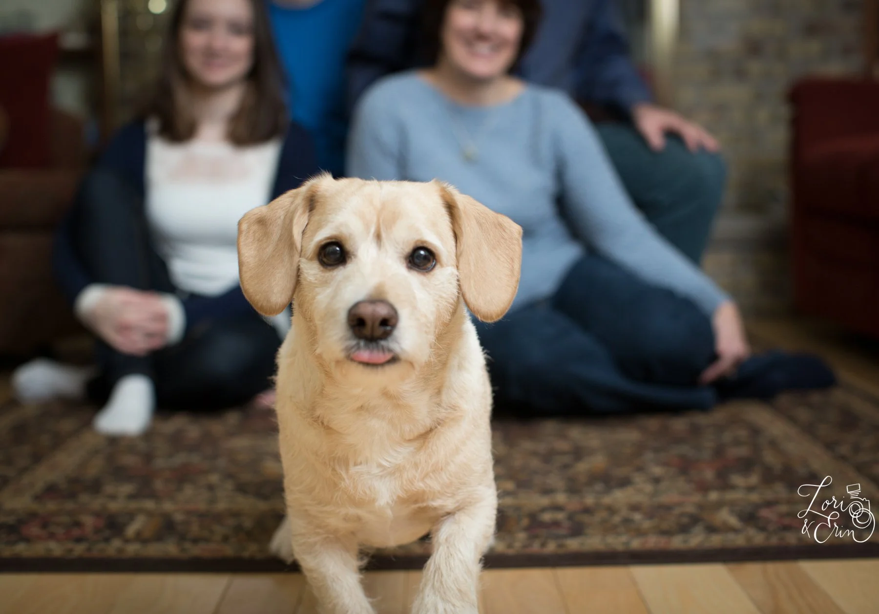 Penfield NY Family Portraits at Home