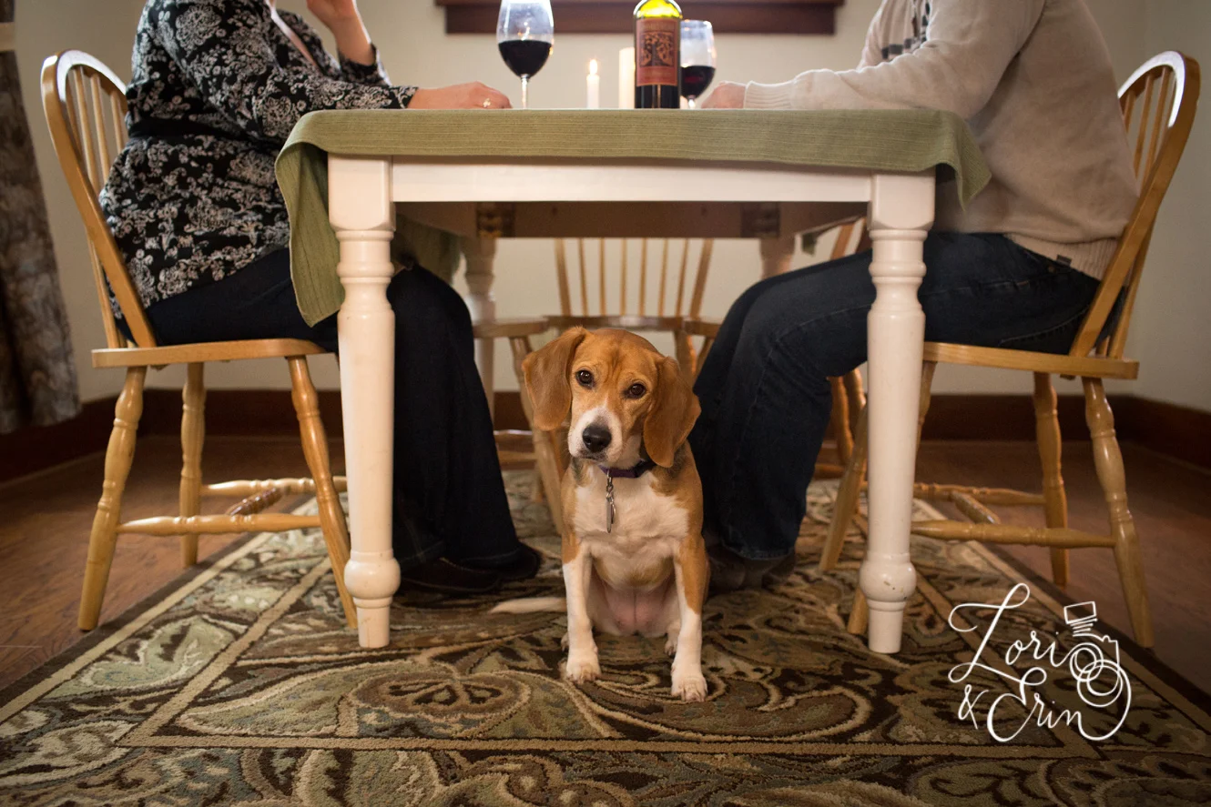 Big, Life Changing, Exciting News!  : rochester ny family photographer