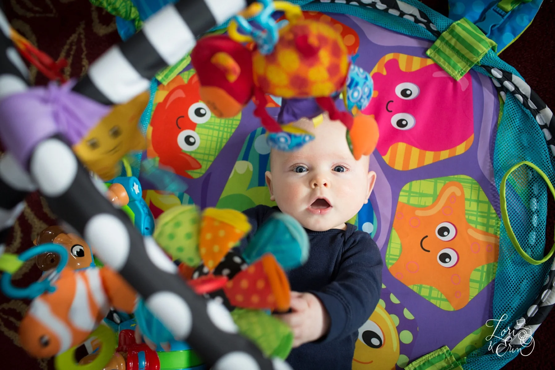 Erin's 365 Project begins : Rochester NY photography