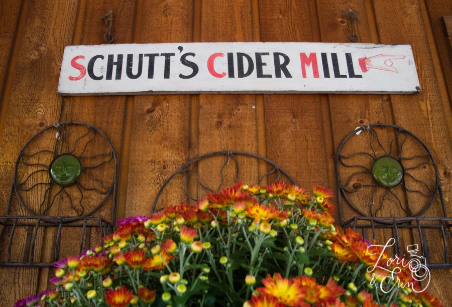 erin's favorite things: the fall edition