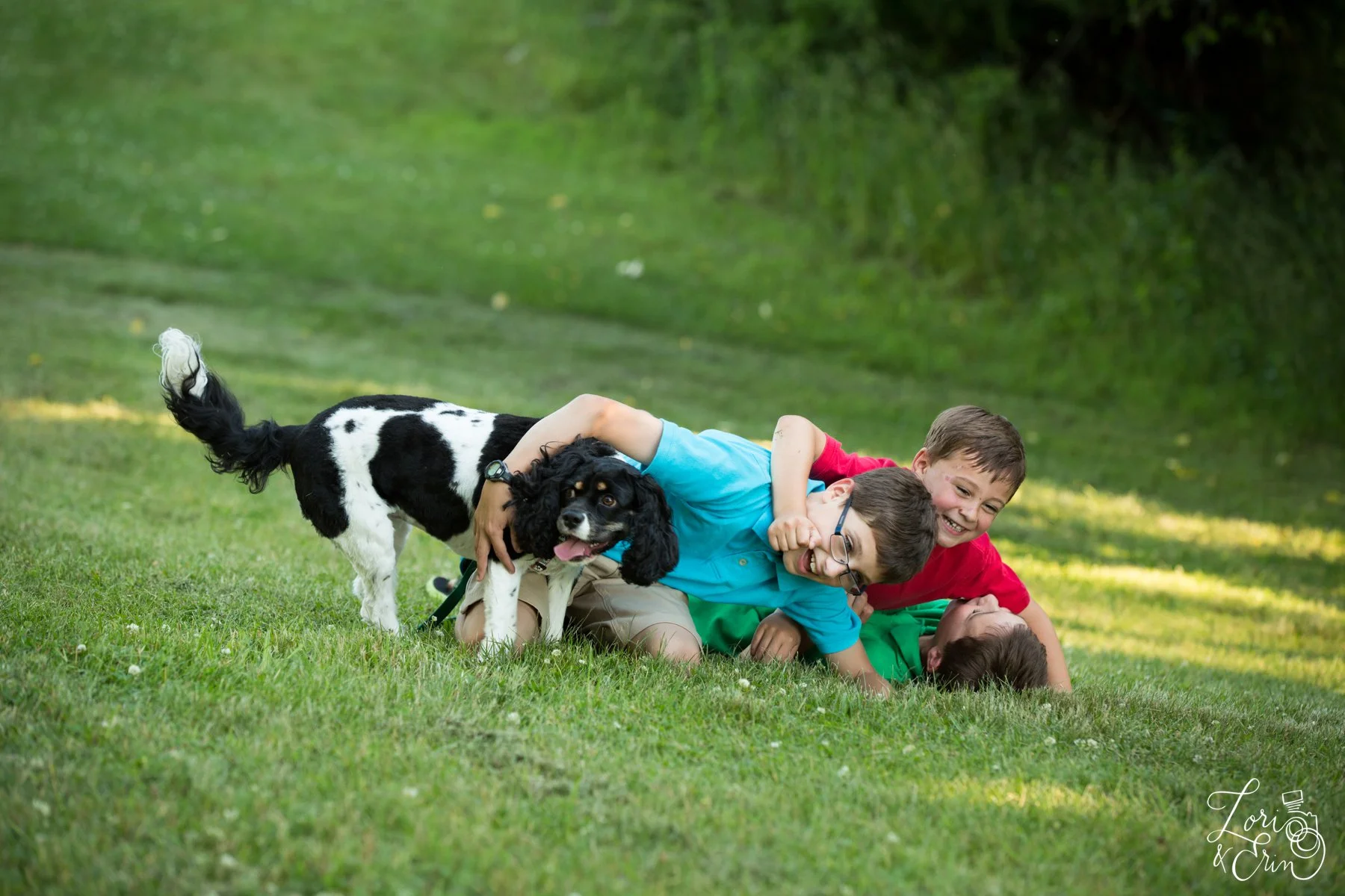Mendon Ponds Park Family Pictures