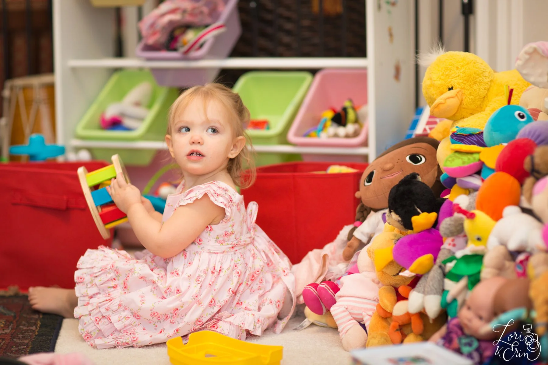 Penfield NY Photographers: Family Photos at Home 