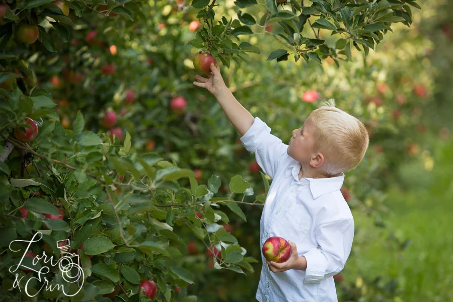 Family Portraits in an Apple Orchard: Newark, NY