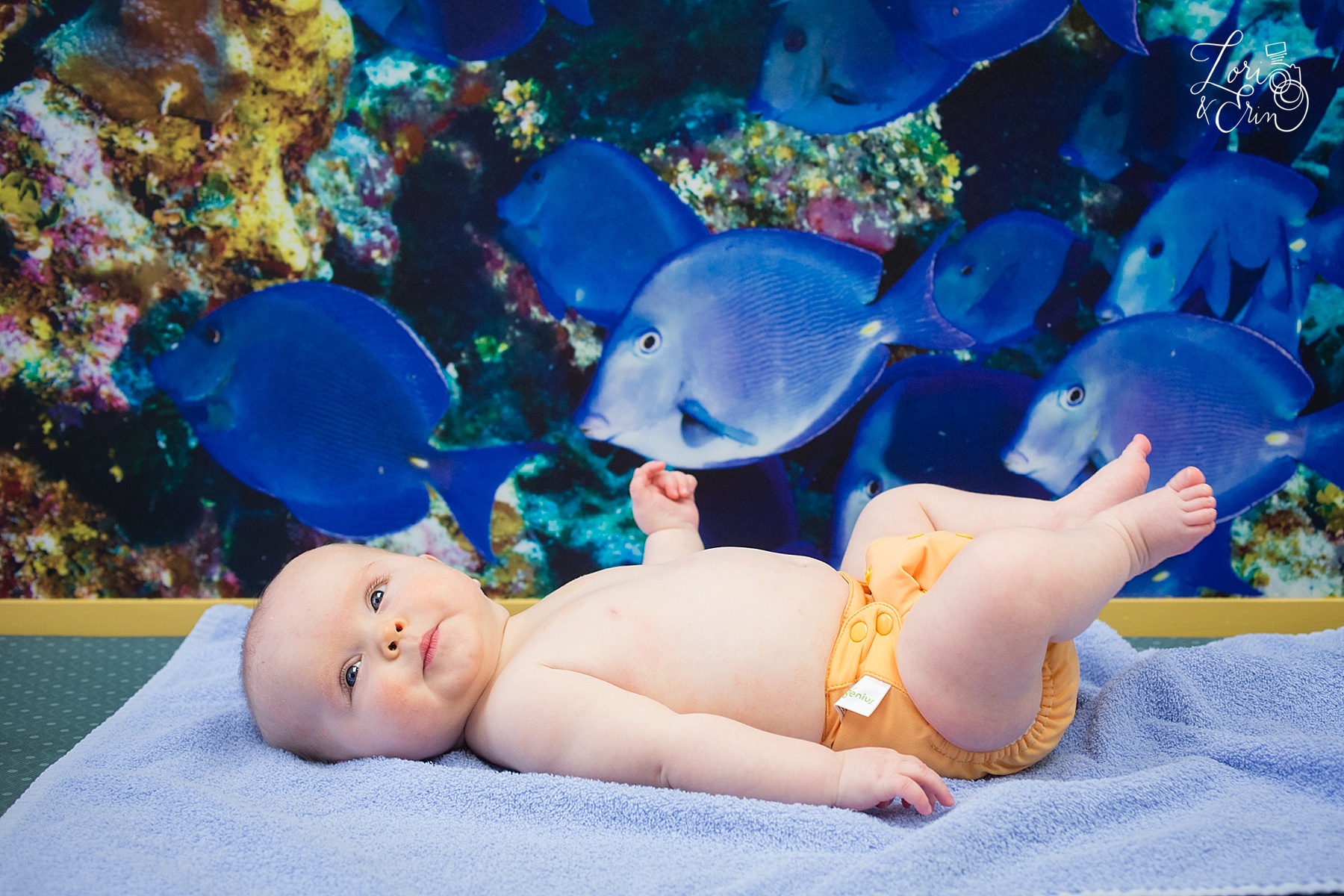 February in Pictures: Erin's 365