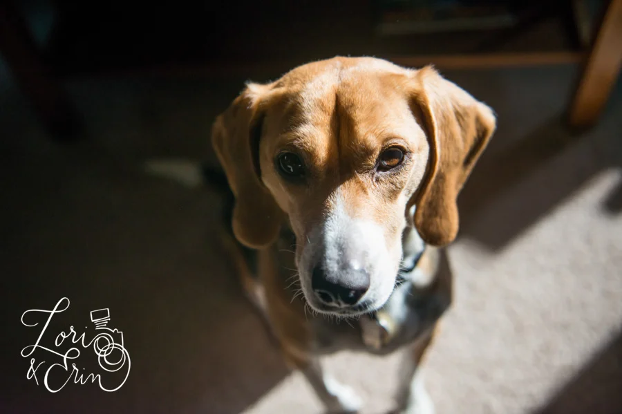 little morning rituals: allie & erin