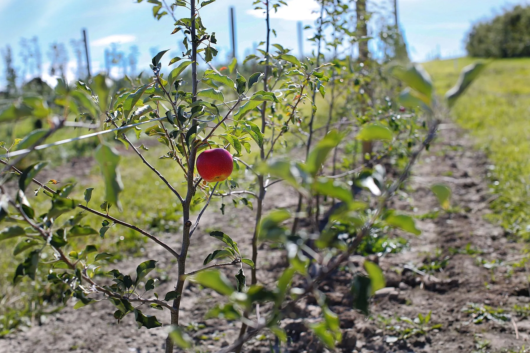 Lori's 365 Project recap: September