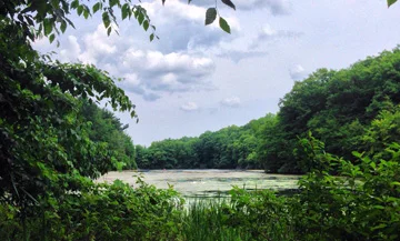 Lori's 365 Project Part 6: June!