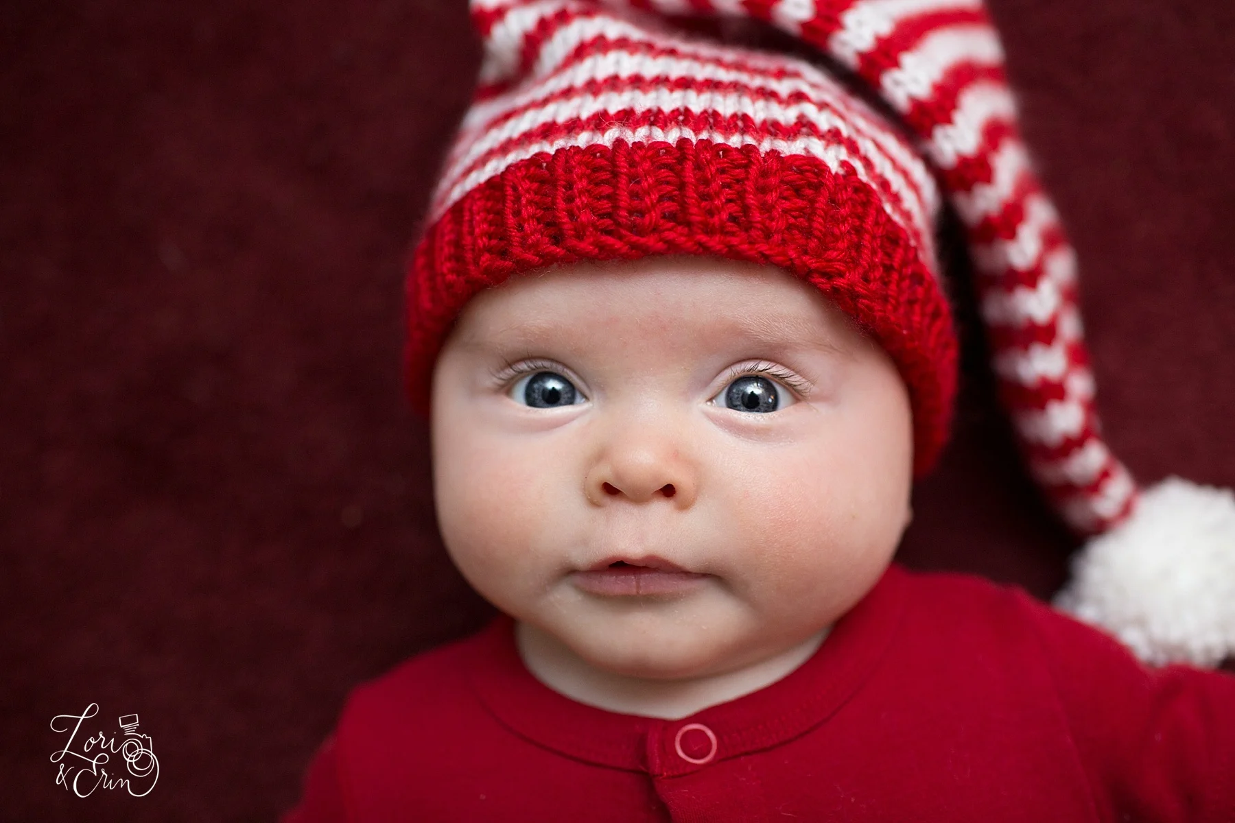 We Wish You a Merry Christmas: Rochester NY Photographers