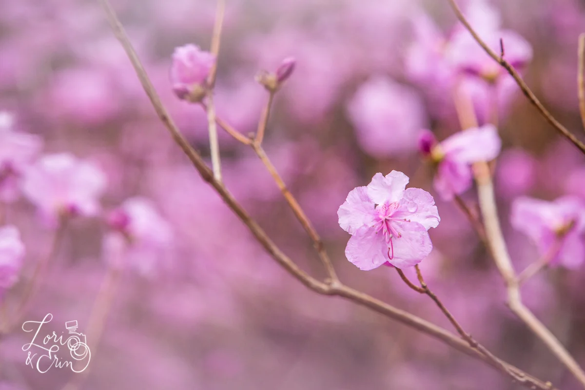 20140426_5061