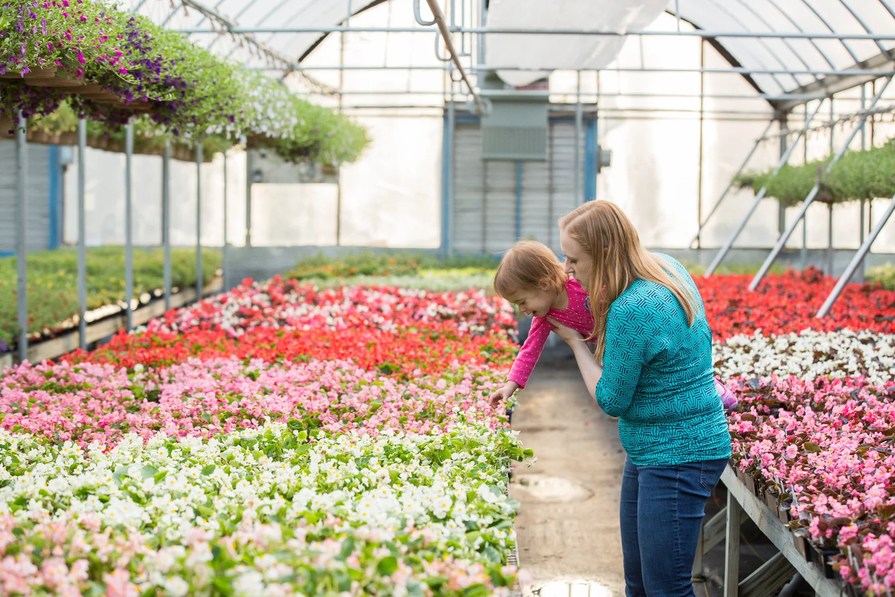 Membership Fun at Lucas Greenhouses: Real Family Portraits
