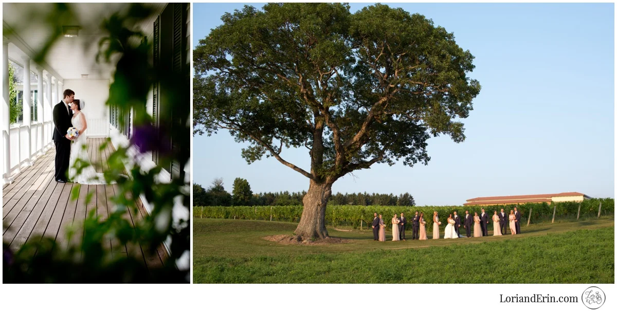 Even the venues themselves agreed, they'd never seen these shots before!