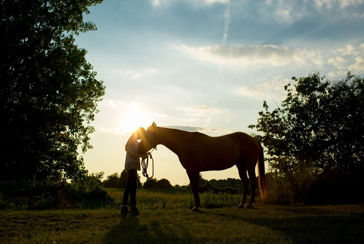 Senior portraits with horse and dog, Canandigua Academy