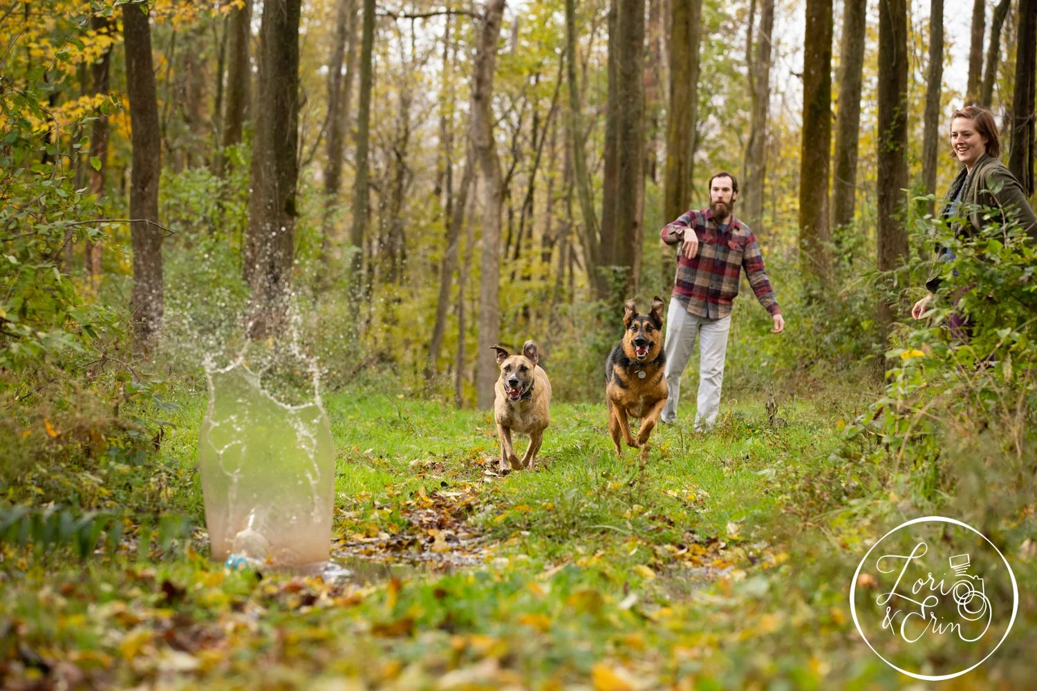 Family Portraits in Penfield, NY: Two Dogs and their Humans