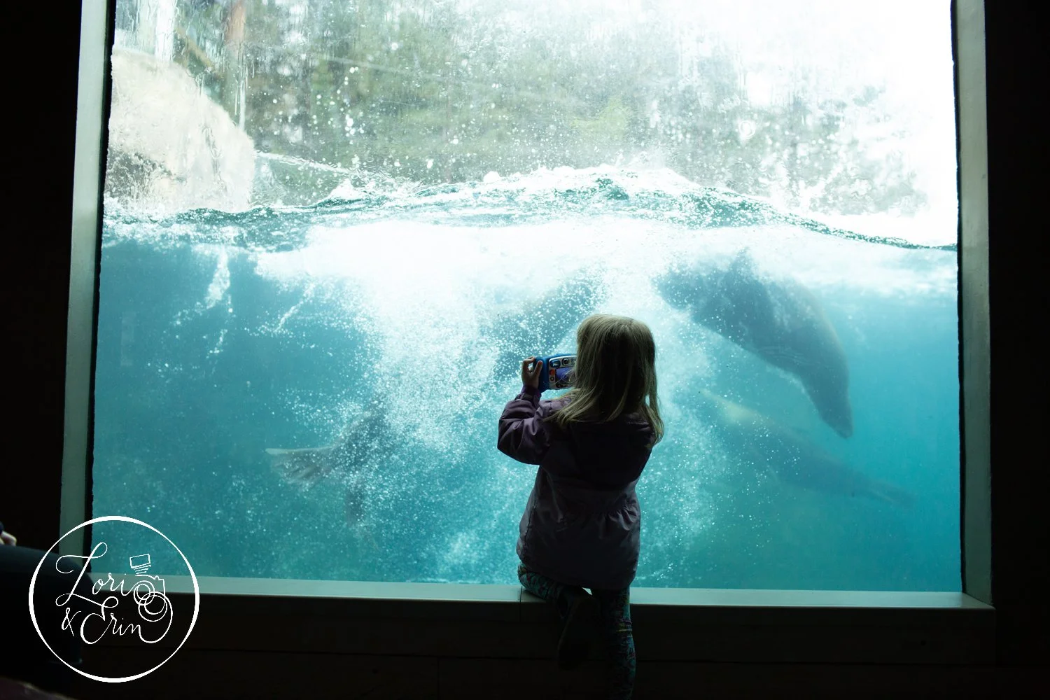 Candid Family Portrait Mini Sessions at the Seneca Park Zoo