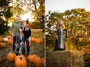 fall_mini_sessions_Rochester_NY_0115.jpg