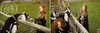 fall_mini_sessions_Rochester_NY_0116.jpg