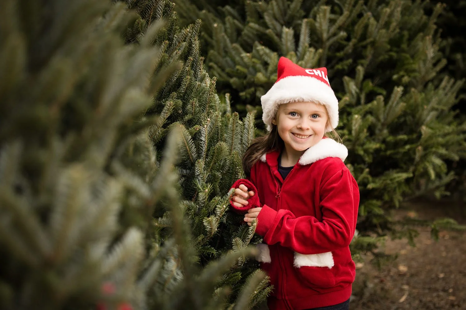 Young girl in Santa hat during holiday family pictures in Fairport NY