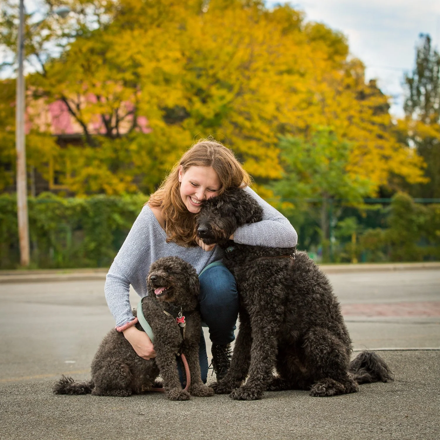 Fall senior photography highlighting senior with her dogs surrounded by autumn leaves