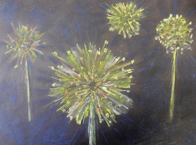 Pastel Angela Gland's flower heads.JPG