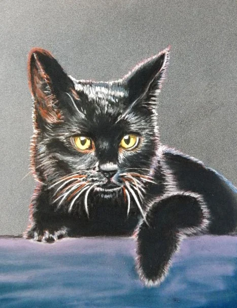 Pastel Anne Dale's cat.JPG
