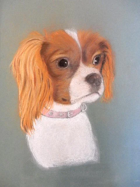 Pastel Jenny Blanchard's dog 2.JPG