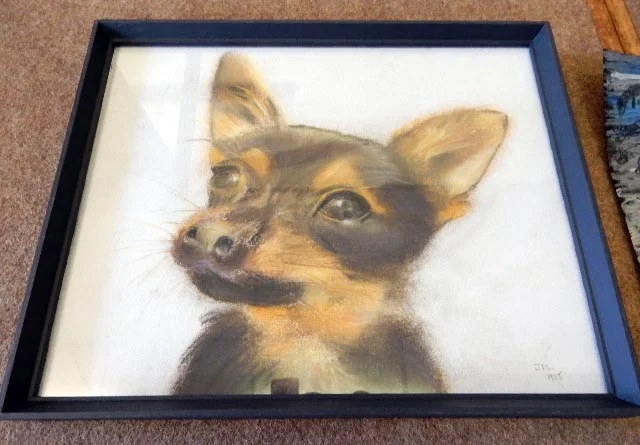 Pastel Juliette Lester's dog.JPG
