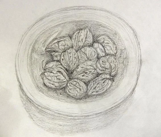 Jane Fortin walnuts.JPG