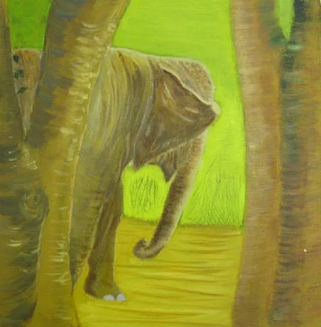Sally Cooper acrylics 2.jpg