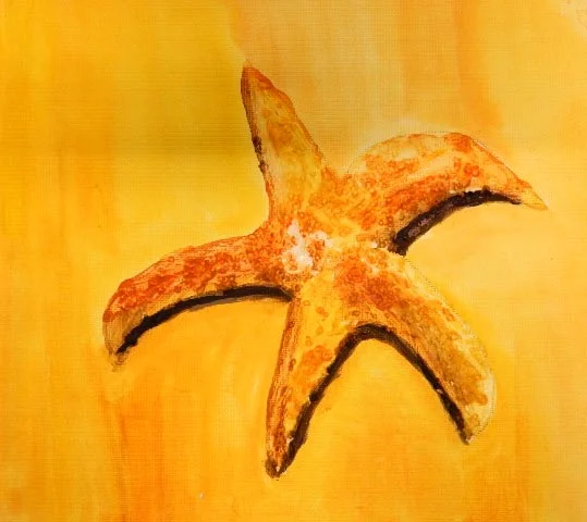 Anita Mulligan starfish.jpg