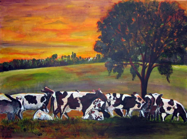 Kay Wood cows.JPG