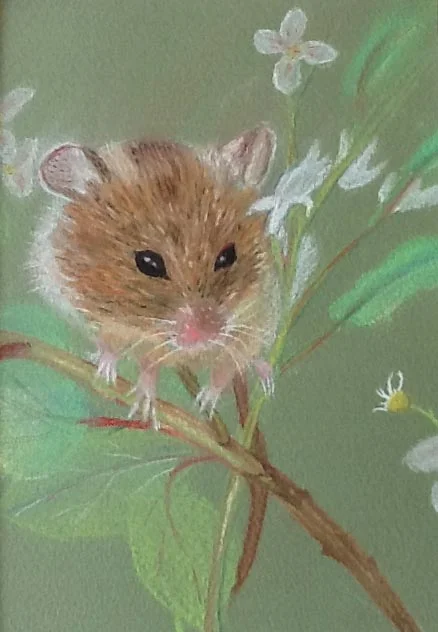 Julie Orton mouse pastel.jpg