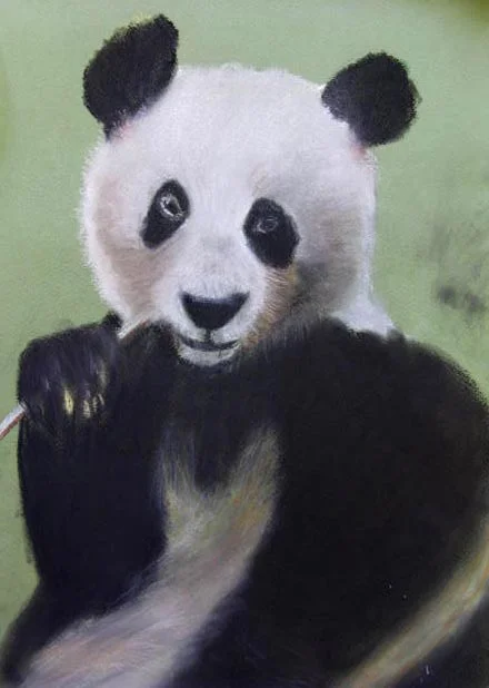 Kay White panda pastel.jpg