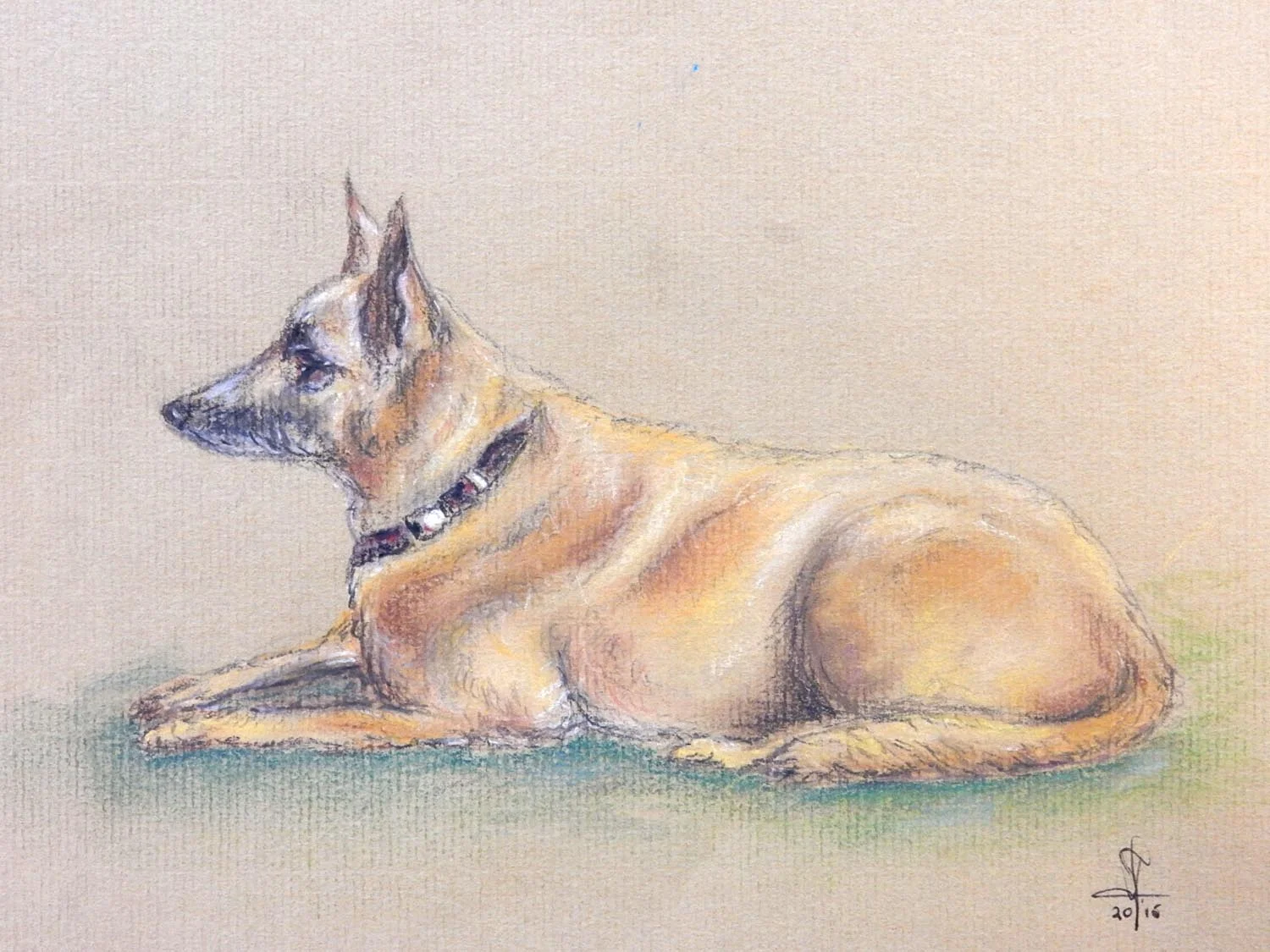 Joy Cummings dog.jpg
