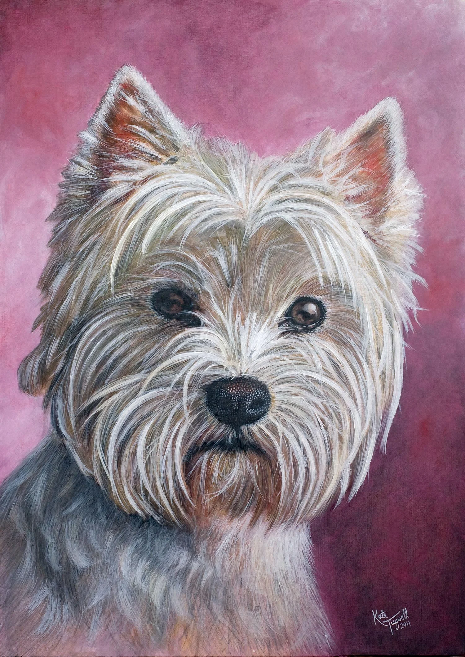 Dog-Portrait---Button-west-highland-terrier.jpg