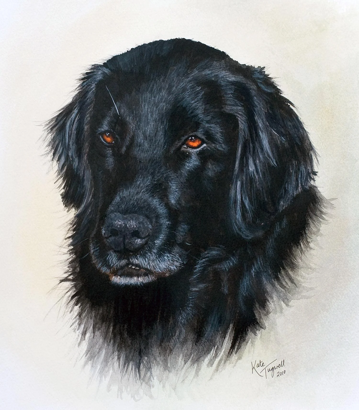 Dog-portrait---Finn-black-retriever-watercolour.jpg