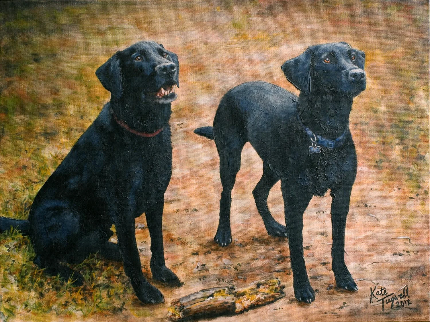 Dog-portrait---Jet-&-Ollie-2-black-labs.jpg