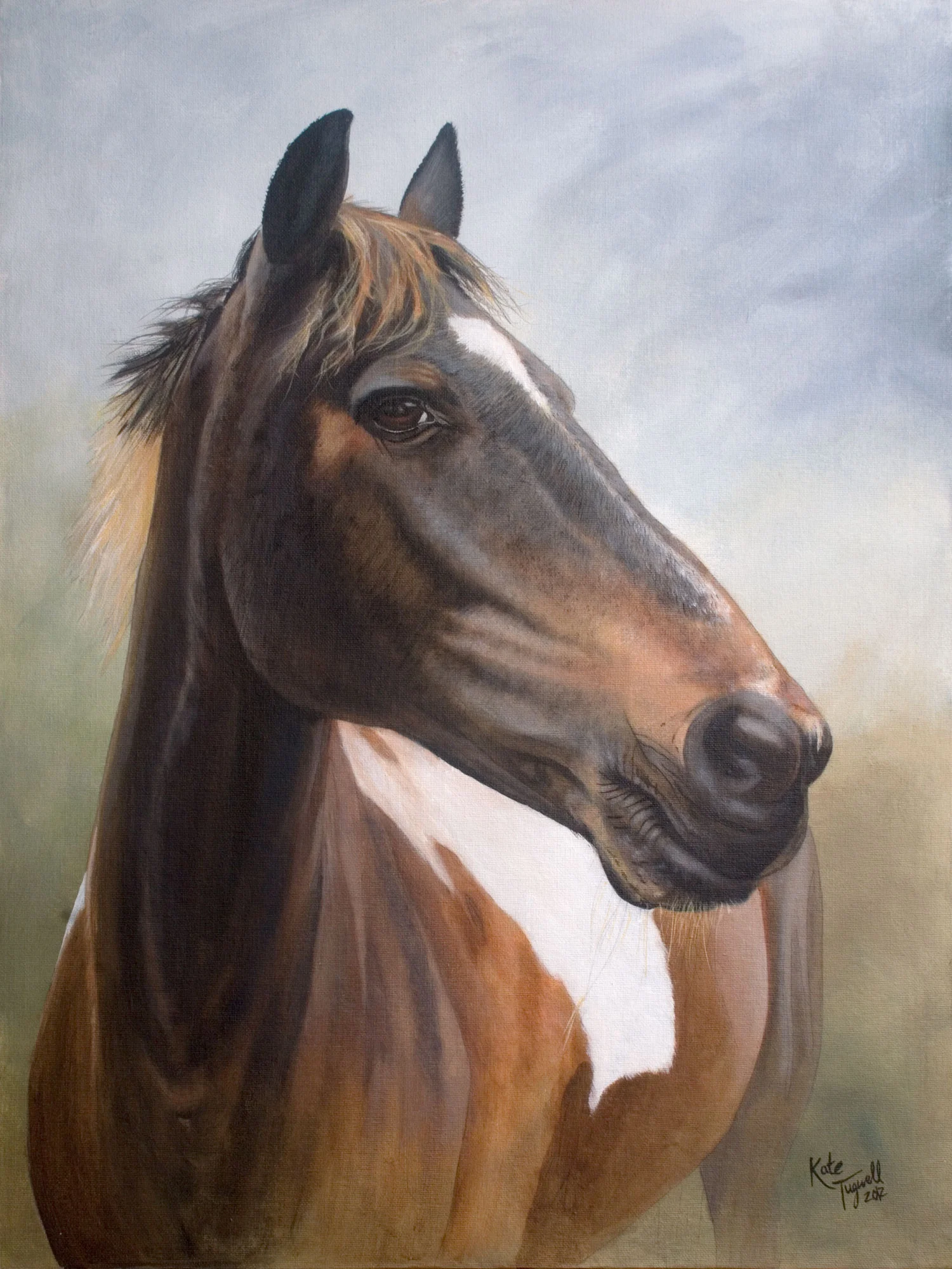 Horse-portrait---Saffie-head-18x24.jpg