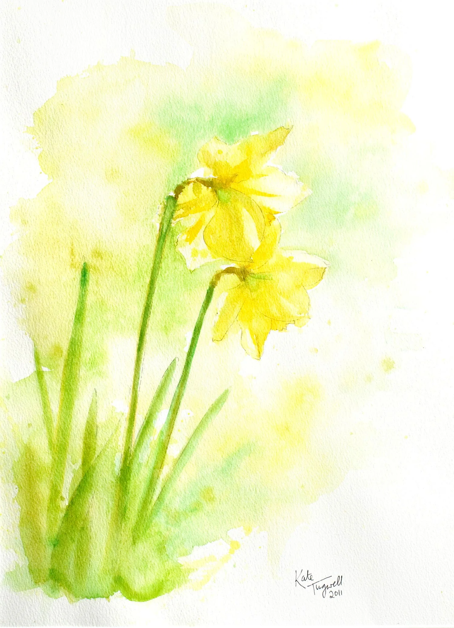 Art-for-sale---Watercolour-daffodils-light.jpg