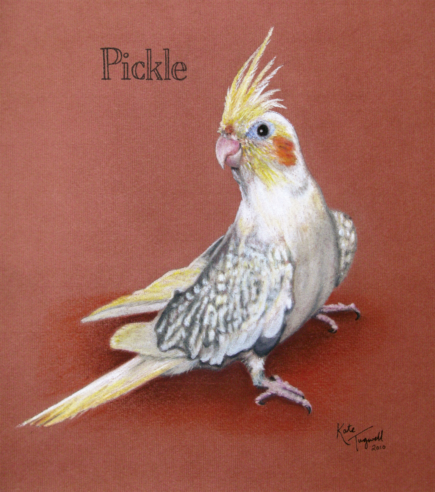 Bird-portrait---Pickle-pastel.jpg