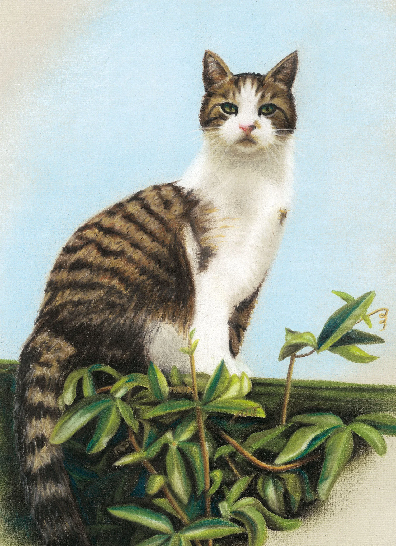 Cat-portrait---Gilbert-pastel.jpg