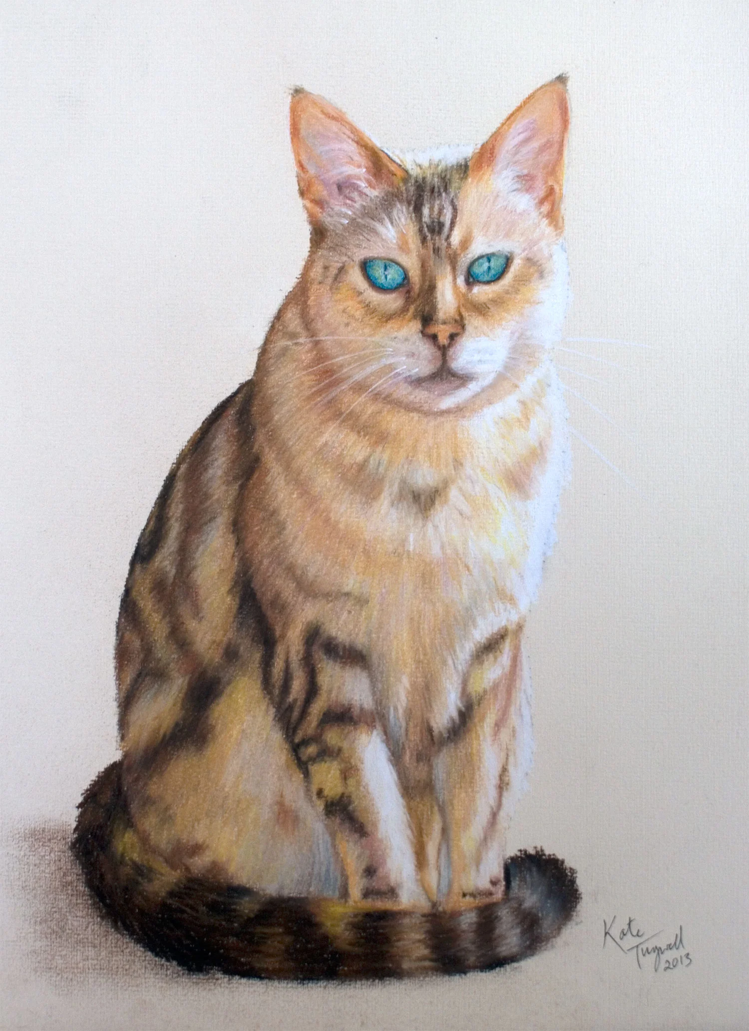 Cat-Portrait---Mishulah-A4-pastel.jpg