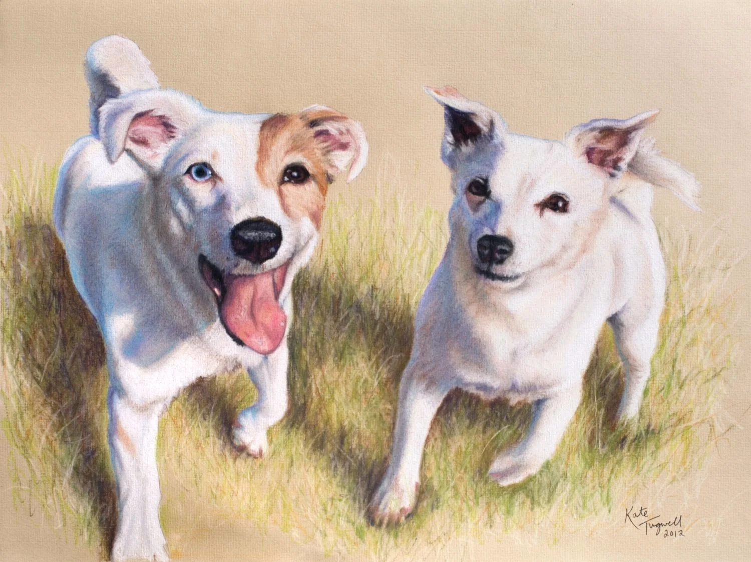 Dog-portrait---2-Jack-Russells-Pastel-Anni-and-Katy-30x40cm.jpg